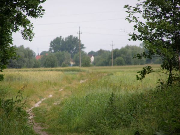 zdjecie Zalesie Górne