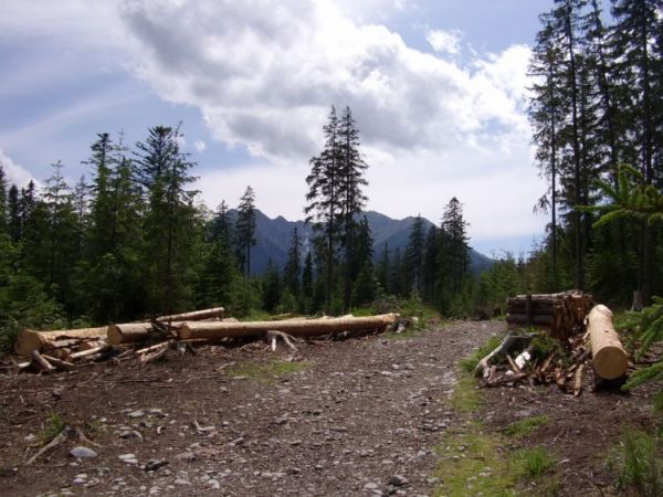 zdjecie Zakopane