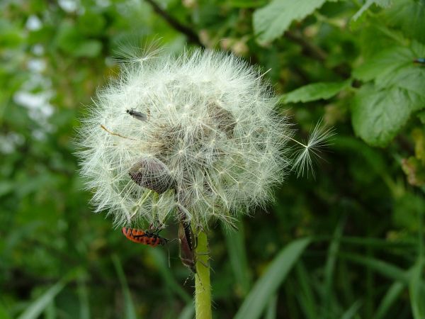 Piękny jest "daleki od betonu świat"...