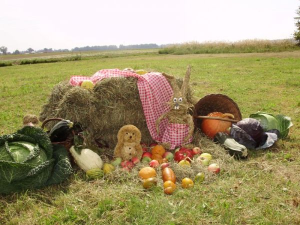 zdjecie Krzyżanowice