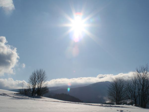 Fot. Ewa Kamila Jabłońska