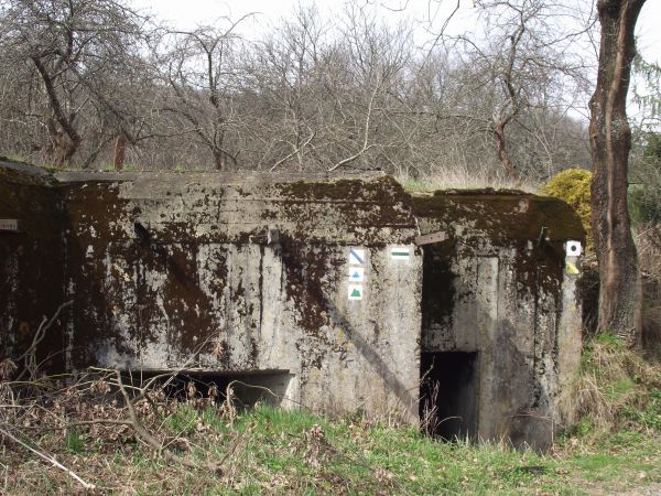 bunkier z "Linii Mołotowa", na nim oznaczenia szlaków spacerowych, rowerowych - turystycznych. Przedpole bunkrów wypełniały rowy przeciwczołgowe i zapory przeci