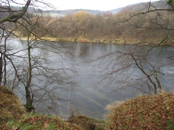 z wysokiego, stromego, kamienistego brzegu rzeki San - tu z parku pałacowego - widok na pasma górskie tzw. Beskidu Leskiego, w większości zalesione.