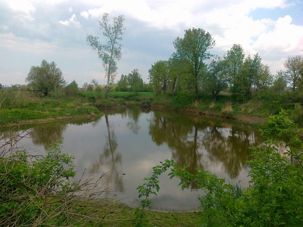 Kolejna odsłona słynnego jeziora u Ryśka.  W prawdzie jezioro to nie jest tak sławne jak szkockie Loch Ness , jednak jeśli ktoś lub któraś szuka potwora  - to z