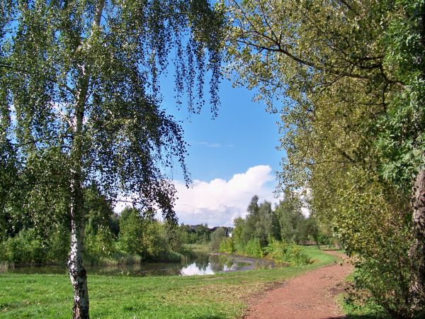 Park "Grabek".