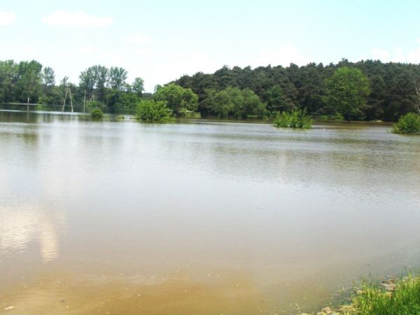 Kępa Polska dnia 23.05.2010r. -  Mołtawa w czasie letniej powodzi gdy poprzedniego dnia o god. 23,00 Wisła osiagnęła na wodowskazie maksymalny poziom 739 cm. Na