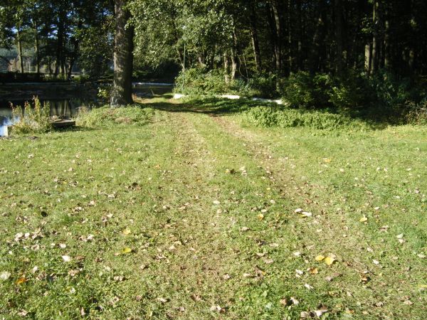 zdjecie Stare Kurowo