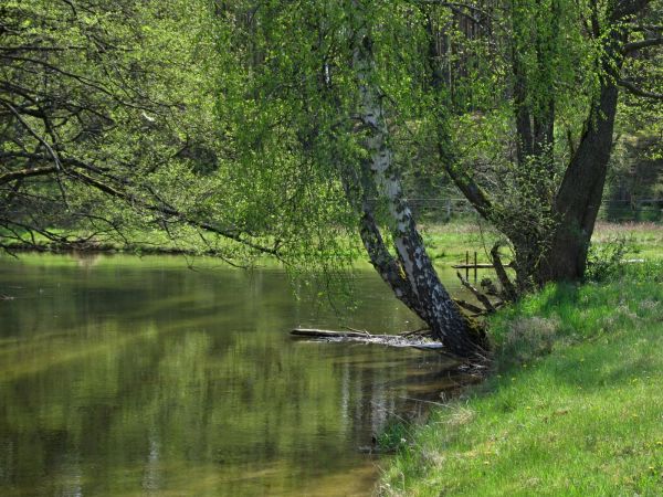 Kanał rzeki Wdy oraz teren nad nim położony
