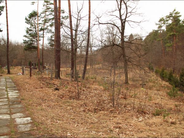 Stary cmentarz greckokatolicki przy cerkwi w Mołodyczu. Obecnie używany sporadycznie .