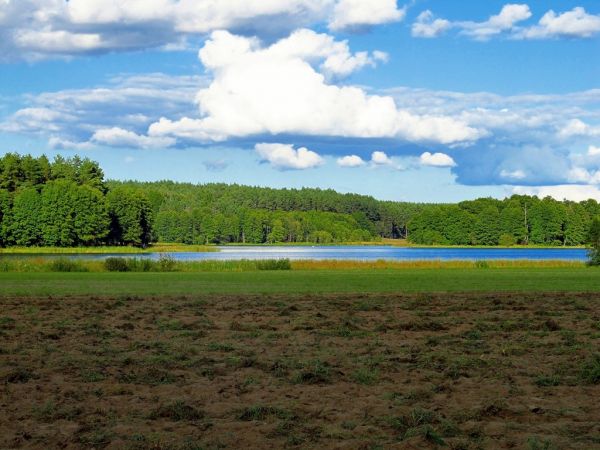 Jezioro Wieckie w Wiecku