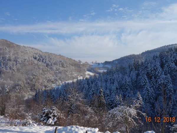 W głębi Osiedle Jaworze