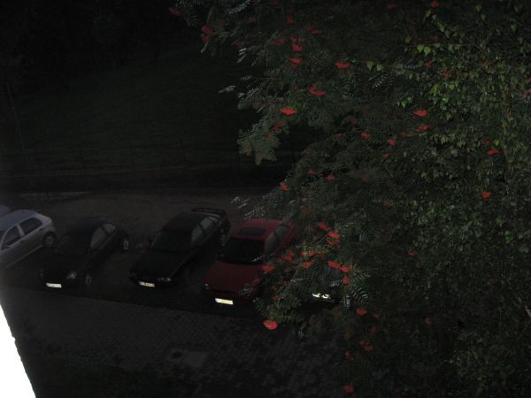 Jarzębina iparking pod moimoknem