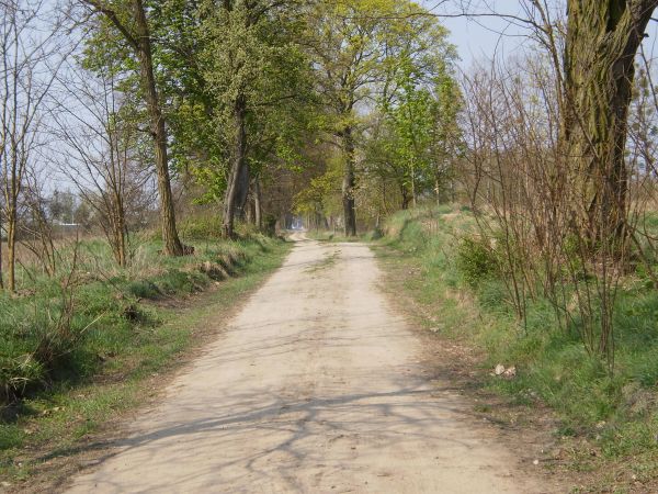 Polna droga do Radolina  - Przedłużenie ulicy Tetmajera