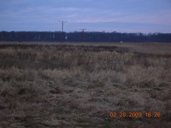 Bagna i rezerwat przyrody w tle...