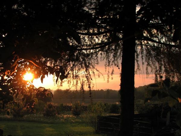 zdjecie Frydrychowice