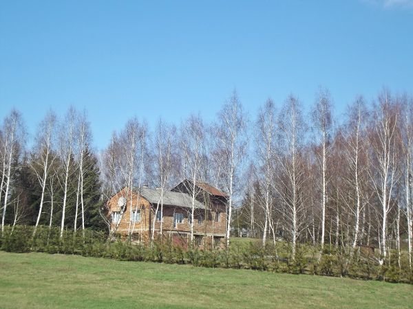 Młyn Gospodarczy - służy rolnikom okolicznych wsi, jedyny działający w Powiecie Sanockim - a to teren 7 gmin. Inny - najbliżej - we wsi Iwonicz.