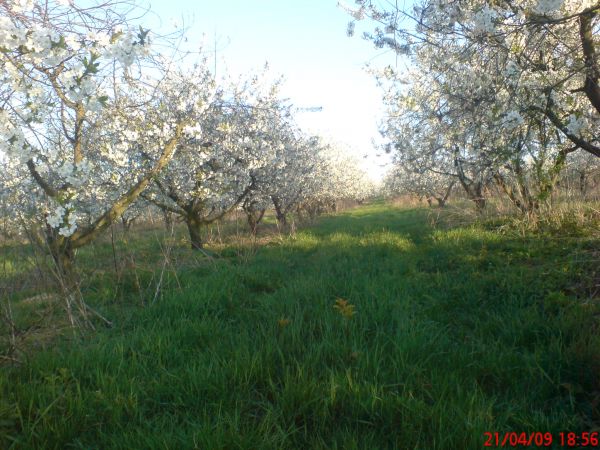 zdjecie Żarska Wieś