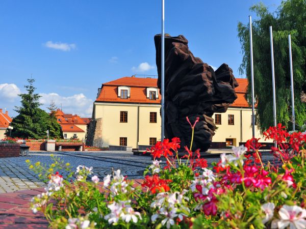 zdjecie Wodzisław Śląski