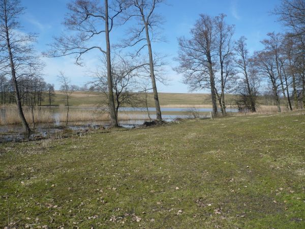 JEZIORKI TRZECIACKIE :)