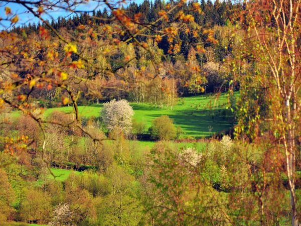 zdjecie Lądek-Zdrój