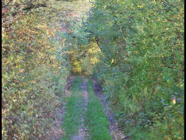 zdjecie Stare Kaliszany