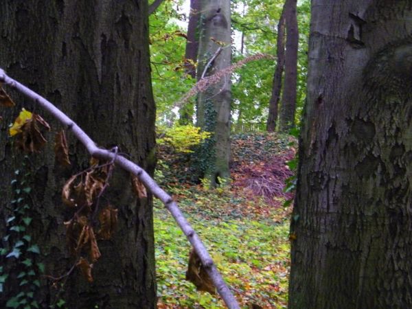 lasek ciekawostek jako że znalazłem podczas kładzenia kabli telefonicznych pobite  naczynie fiolkę z lekarstwem i dawniej zapewne piasek wydobywano dziś pełno b