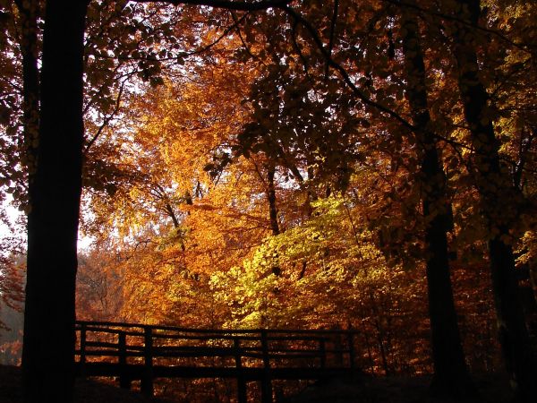 Trojmiejski Park Krajobrazowy