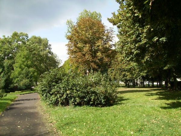 zdjecie Sulechów