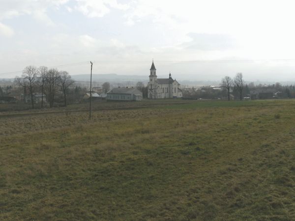 Warzyce - jesień 2009