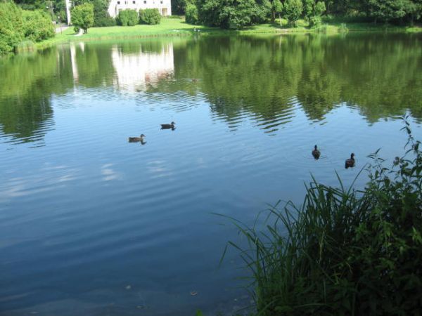 zdjecie Złoty Potok