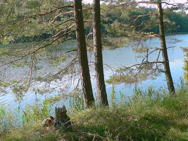 Odnoga jeziora Wiartel , prowadzi do nieczynnej już przeprawy na drugie jezioro.