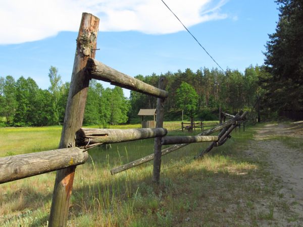 Na działkach w Borsku