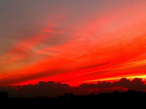 Zdjęcia Polskie Łąki