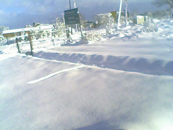 Białowąs zimą 2008