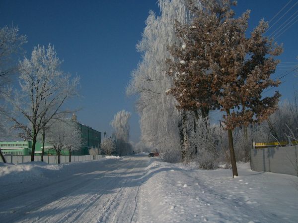 zdjecie Potok Górny