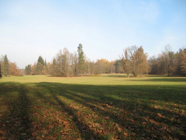 zdjecie Białowieża