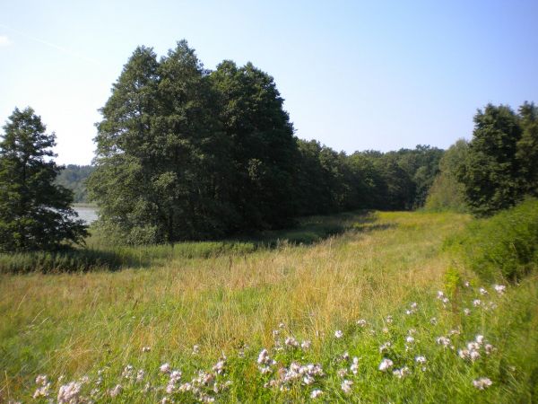 Dawne pole namiotowe