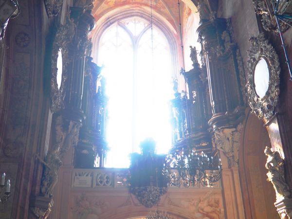 prospekt organowy katedry, dwudzielny - jego elementy z piszczałkami przylegają do ścian - tak zaprojektowany aby nie przesłaniał światła, którego udziela kości