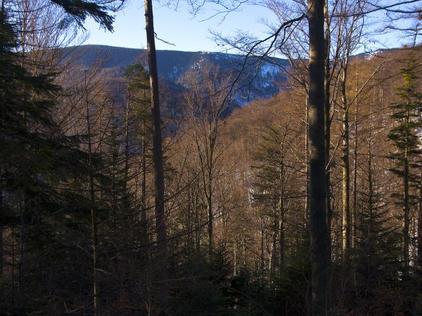 Na niebieskim szlaku-Rytro