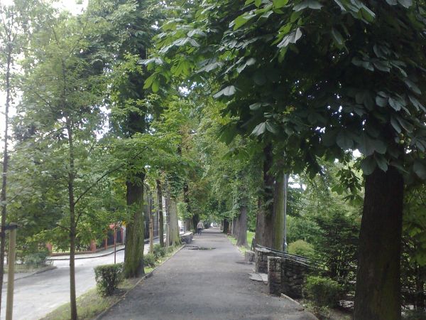 Planty im. Jana Pawła II na ulicy Wały Generała Jarosława Dąbrowskiego