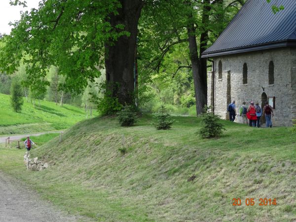pomnik przyrody - na planie pierwszym, w otoczeniu cerkiewnym i świątynia. Niechby sędziwe drzewa - świadkowie przeszłości - stać się mogły na równi z pomnikami