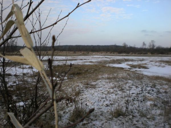 zdjecie Ulaski Stamirowskie