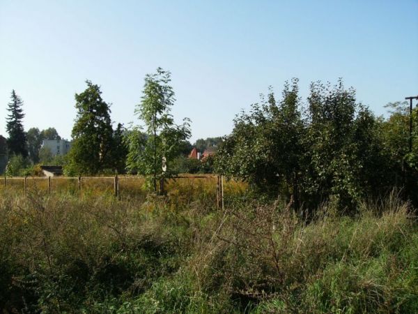 zdjecie Sulechów