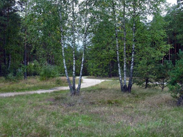 W drodze z Czarnej Wody do Wiecka