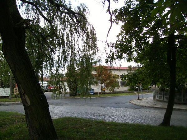 zdjecie Sulechów