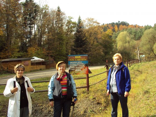 w ogrodzeniu: parking przed zamkowym wzgórzem, wiata, ławy i stoły piknikowe oraz sezonowa gastronomia, obok plansze dot. fauny i flory oraz rysu historycznego