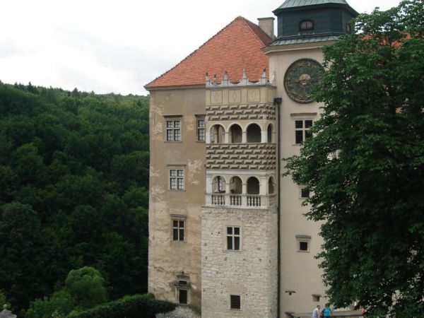 Zamek po raz pierwszy wzmiankowany jest jako Peskenstein w dokumencie wydanym w 1315 roku przez Władysława Łokietka. W I połowie XIV wieku Kazimierz III Wielki