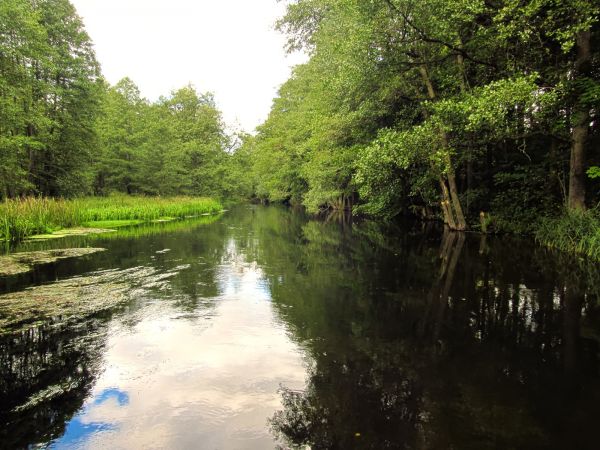Rzeka Wda. Zdjęcie zrobione z kładki dla pieszych przy kajakarni.
