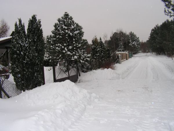 Zdjęcia Florentynów