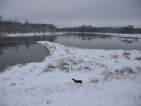 03.01.2010 Odra